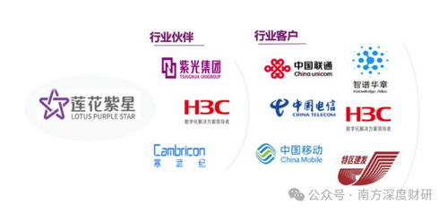 從調味品到AI新勢力 蓮花控股業績領跑同行，科技版圖再落信息技術咨詢服務關鍵一子